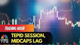 Nifty на отметке 25 550, Sensex ровный; IndiGo, M&M, Reliance растут, в то время как Grasim Indus...