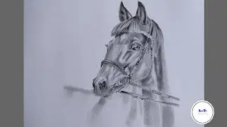 How to draw Horse step by step