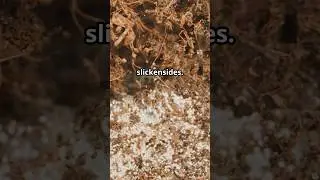 Where Clay Meets Friction The slick side of soils#vertisol #soilorder #soil #asrbnet #facts #science