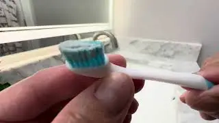 Brushee   The Evolution of Oral Care   3 in 1 Tool, Disposable   Prepasted Travel Toothbrushes