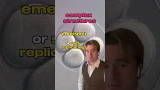 How do complex things exist in our entropic universe?