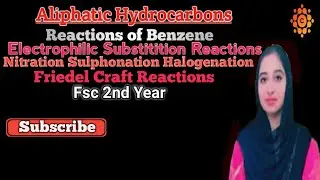 Reactions of Benzene | Friedal Craft's Reactions | Sulphonation | Halogenation | Nitration