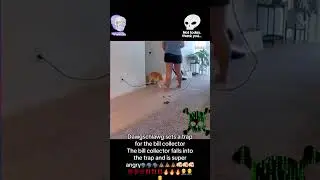 Dawgschlawg sets a trap for the bill collector
