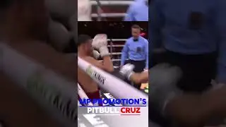 WBA Champion Pitbull Cruz. #boxing #boxingko #thisisboxing