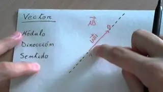 Vector: m&oacute;dulo, direcci&oacute;n y sentido.