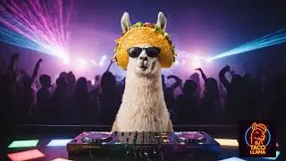 DJ Taco Llama &ndash; Chicky Burritos (Ibiza Club Banger) 🌶️ Latin-Electro House