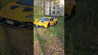 Ich fahre mit dem lambo durch den Wald es geht schief