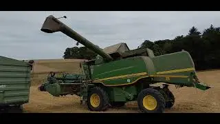 Weizenernte 2025 JOHN DEERE W540 HillMaster 