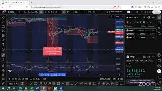 D&iacute;a 5. Ticks y Puntos - Programa IF2
