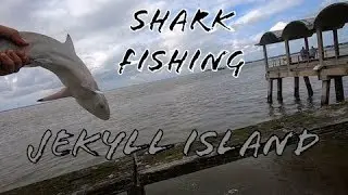 SHARKS and CRABS from the PIER!