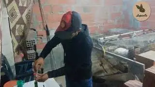 فوائد خل التفاح