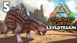 Alex the Camel has 2 Humps - Ark Survival Evolved Xbox One - Scorched Earth - Livestream