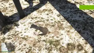 Gta 5 Ragdoll Test #3