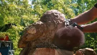 II INTERNATIONAL STEEL BEAVERS CHAINSAW CARVING COMPETITION 2018