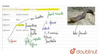Which of the following animals sows discontinuous distribution?