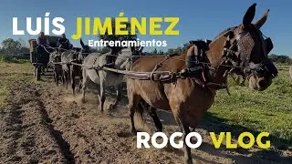Lu&iacute;s Jim&eacute;nez Mulos a la Larga - RoGo VloG