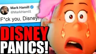 Things Get WORSE For Disney After INSANE Woke Backlash! Celebrities Are LOSING IT!