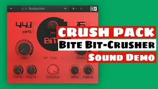 LET'S CRUSH!  Native Instruments CRUSH PACK Bite Bit-Crusher Sound Demo | SYNTH ANATOMY