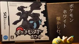 人生初の色違い出たわ。ポケモンブラックホワイトで思い出を巡る旅へ　#レトロゲーム 