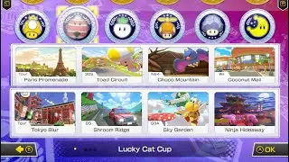 Mario Kart 8 Deluxe - Booster Course Pass - Wave 1 All Courses