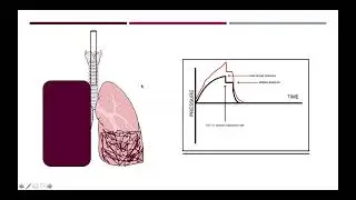Ventilators 2 - Advanced Ventilator Management (2022)