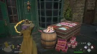 Let's Play Hogwarts Legacy! (16)