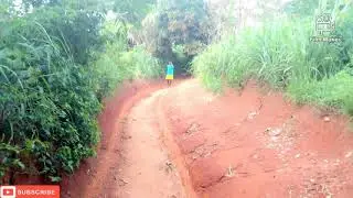 The thief walking in the Bush