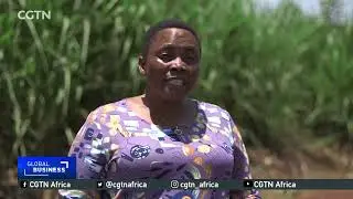Uganda farmers seek farming subsidy