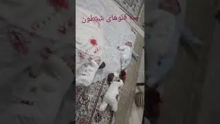 #سه&zwnj;قلو #شیطون #نوزاد #دنیای&zwnj;مادرانه #ایرانی #triplet # goer #baby #maternalworld #iranian