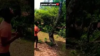 power of love 😁😂😂😂 #shortsfeed #shortsyoutube #shorts #trending #comedy #power #of #love