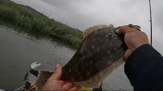 Our first LHM Flounder Tournament