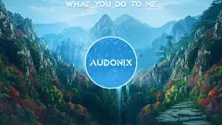 Audonix - What You Do To Me