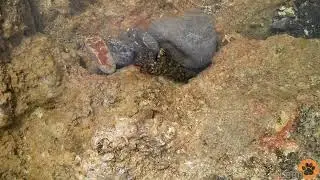 Where do those bubbles come from???