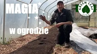Magia w ogrodzie ;)