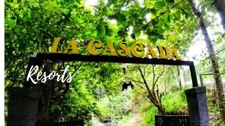 EP 1 Vayalada ultra run #travel running#trail run#balussery#kozhikode
