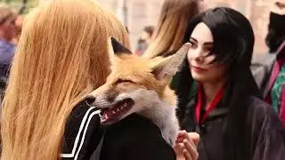 Comic Con Ukraine 2021. Комик кон Украина 2021.