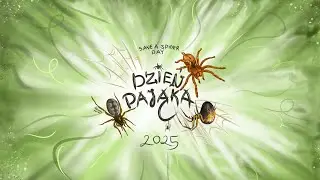 Dzień Pająka 2025 - 