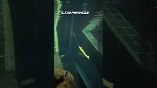 Flex Minnow