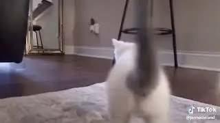 zajebisty film