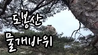 도봉산 오봉능선 하이라이트｜물개바위·하트바위와 암릉 능선 16분 기록![호랭이의 산행일기  | 20260118]#도봉산 #호랭이의resetlife #리셋라이프 #keepgoing 