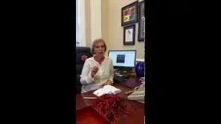Cindy Singley - CIVSA Strategic Plan Gatorade Challenge