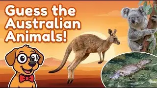 Guess the Australian Wild Animals 🇦🇺🦘 | Animal Quiz for Kids