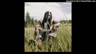 [FREE] Yelawolf x Shaboozey Type Beat - Keep Trucking
