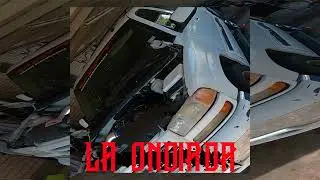 LA ONDIADA - MS BELIKO
