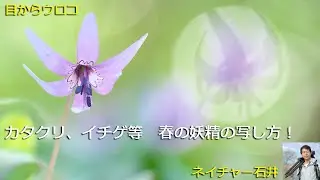 【目からウロコ】カタクリ撮影テクニック！