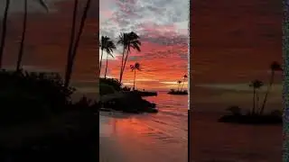 Beach | Sunset | Nature | Sea video status | Sea Waves | Whatsapp status | #Shorts