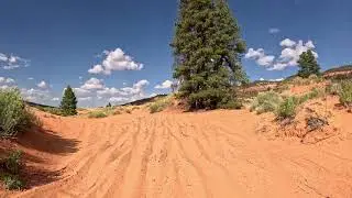 Coral Pink Sand Dunes