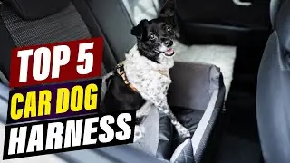 Best Car Harnesses for Dogs: Comfortable and Restraining