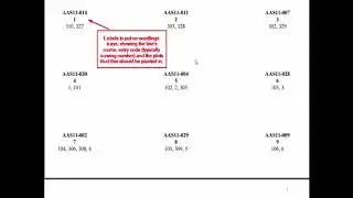 PhenomeOne: Field - Plots and observation