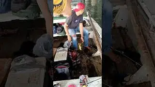 mancing di teluk Lamong Surabaya banyak ikan tompel nya  #mancingdasaran #teluklamong